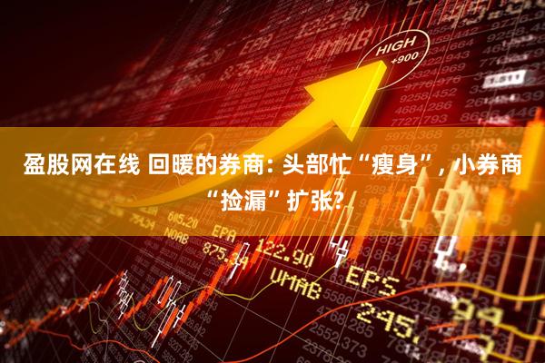 盈股网在线 回暖的券商: 头部忙“瘦身”, 小券商“捡漏”扩张?