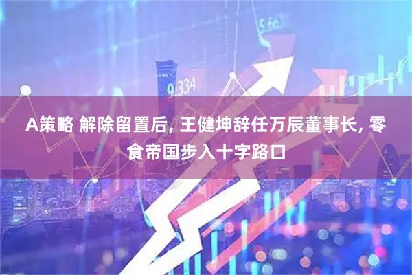A策略 解除留置后, 王健坤辞任万辰董事长, 零食帝国步入十字路口