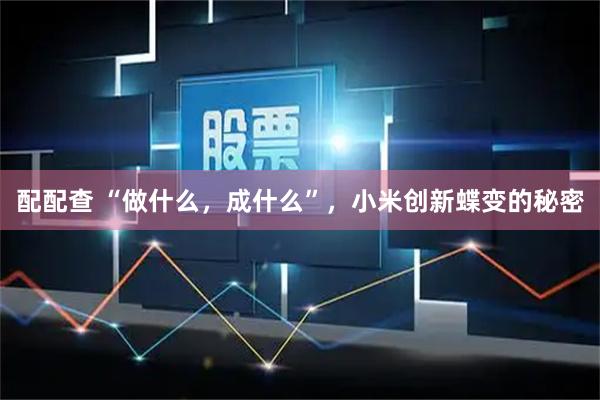 配配查 “做什么，成什么”，小米创新蝶变的秘密