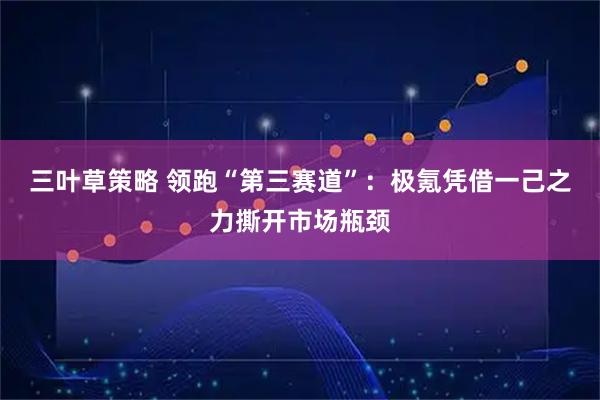 三叶草策略 领跑“第三赛道”：极氪凭借一己之力撕开市场瓶颈